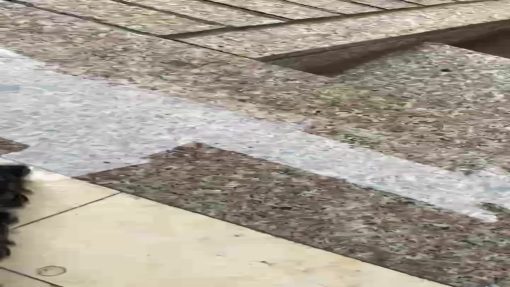 Oto  Điều Khiển Từ Xa pin sạc  ô tô Đồ Chơi Lội Nước & Chạy Trên Cạn Cực Ngầu Cho Bé ( Tặng kèm pin )