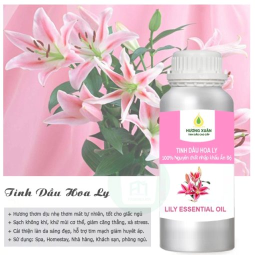Tinh Dầu Thơm Phòng, Tinh Dầu Hương Xuân Nguyên Chất Thiên Nhiên,Tinh Dầu Khuếch Tán Hương Tự Nhiên - Ảnh 3