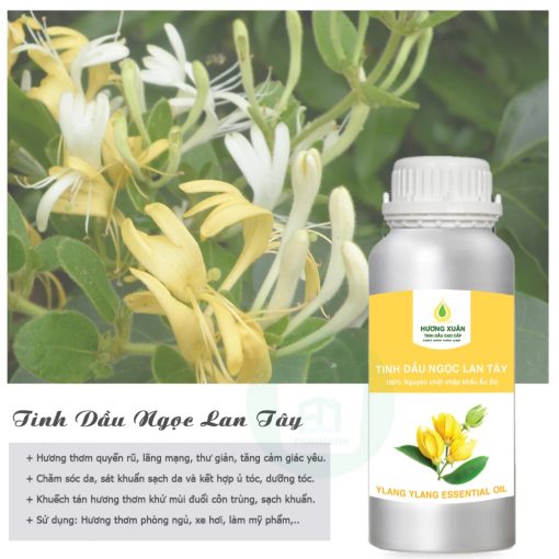 Tinh Dầu Thơm Phòng, Tinh Dầu Hương Xuân Nguyên Chất Thiên Nhiên,Tinh Dầu Khuếch Tán Hương Tự Nhiên - Ảnh 4