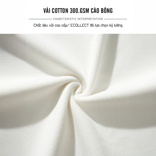 Áo Thun Nhiệt Nam Cổ Cao Thêu Chữ ECOLLECT #GN03, Chất Liệu Cotton Cào Bông 300gsm, Mềm Mịn, Ấm áp mùa thu đông - Ảnh 5
