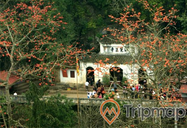 ảnh chụp mọi người đang đứng trong sân chùa giải oan, 2 cây lá màu cam và cây xanh bên ngoài bờ tường,