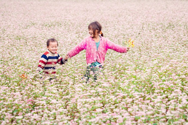Trẻ em vùng cao hồn nhiên trên cánh đồng hoa