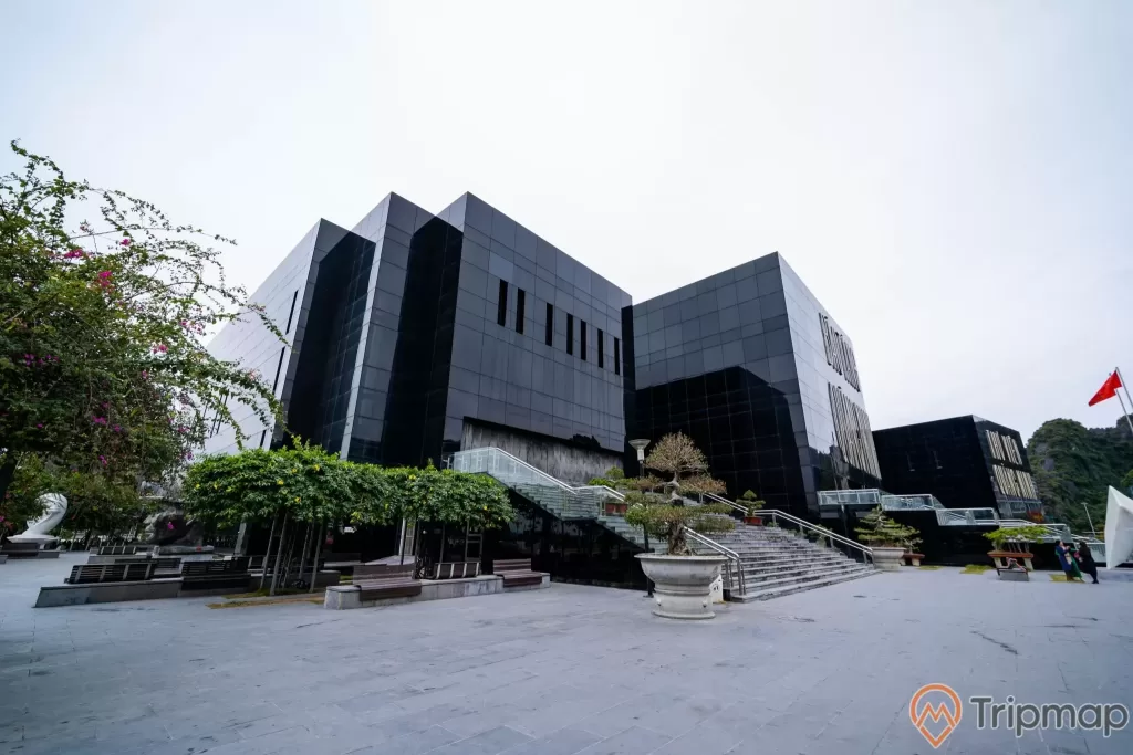 Bảo tàng Quảng Ninh, nền đường màu xám, bậc thang màu xám, nhiều chậu cây, ảnh chụp ban ngày