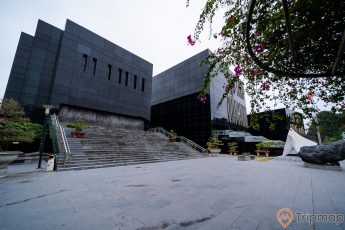 Bảo tàng Quảng Ninh, nền đường màu xám, bậc thang màu xám, nhiều chậu cây, cây hoa giấy, ảnh chụp ban ngày