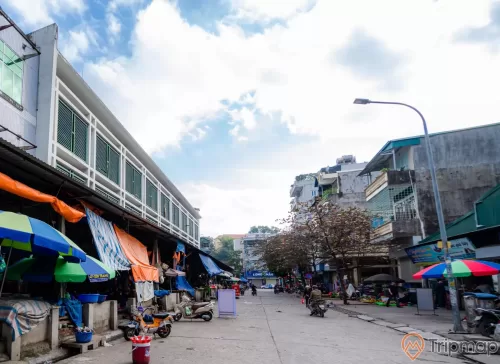 Chợ Hạ Long 2 , Chợ Loong Toòng, nền đường màu xám, cây cột đèn, nhiều nhà dân, trời xanh mấy trắng, nhiều xe máy trên nền đường màu xám, ảnh chụp ban ngày