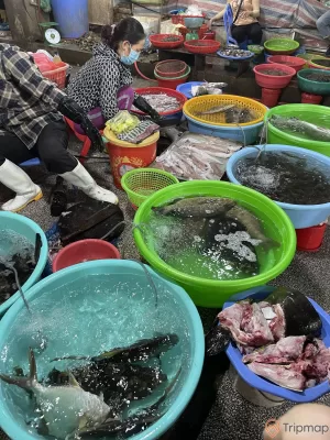 Hải sản tươi sống tại chợ Hạ Long 2 - Chợ Loong Tòong