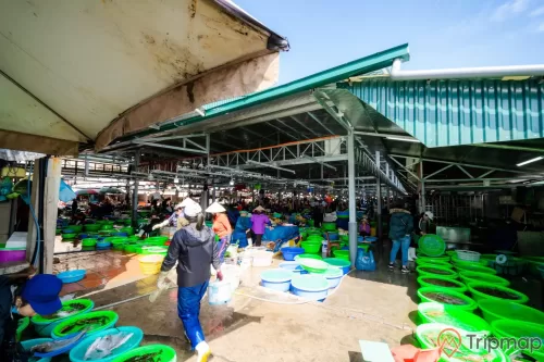 Chợ Hạ Long, chợ Hòn Gai, nền đường màu xám bị ướt, người phụ nữ đang cầm xô nước, nhiều chậu đựng hải sản màu xanh, mái tôn màu xanh, trời nắng, ảnh chụp ban ngày
