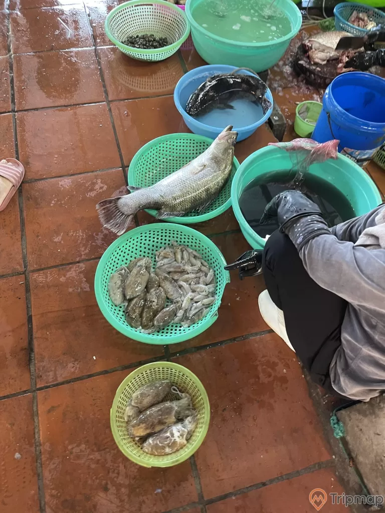 Tiểu thương bán cá và mực tươi tại chợ Hạ Long