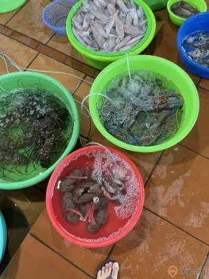 Cua, ghẹ , cù kỳ bày bán