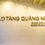 Tầng 1 – Biển cả và tự nhiên tại Bảo tàng Quảng Ninh