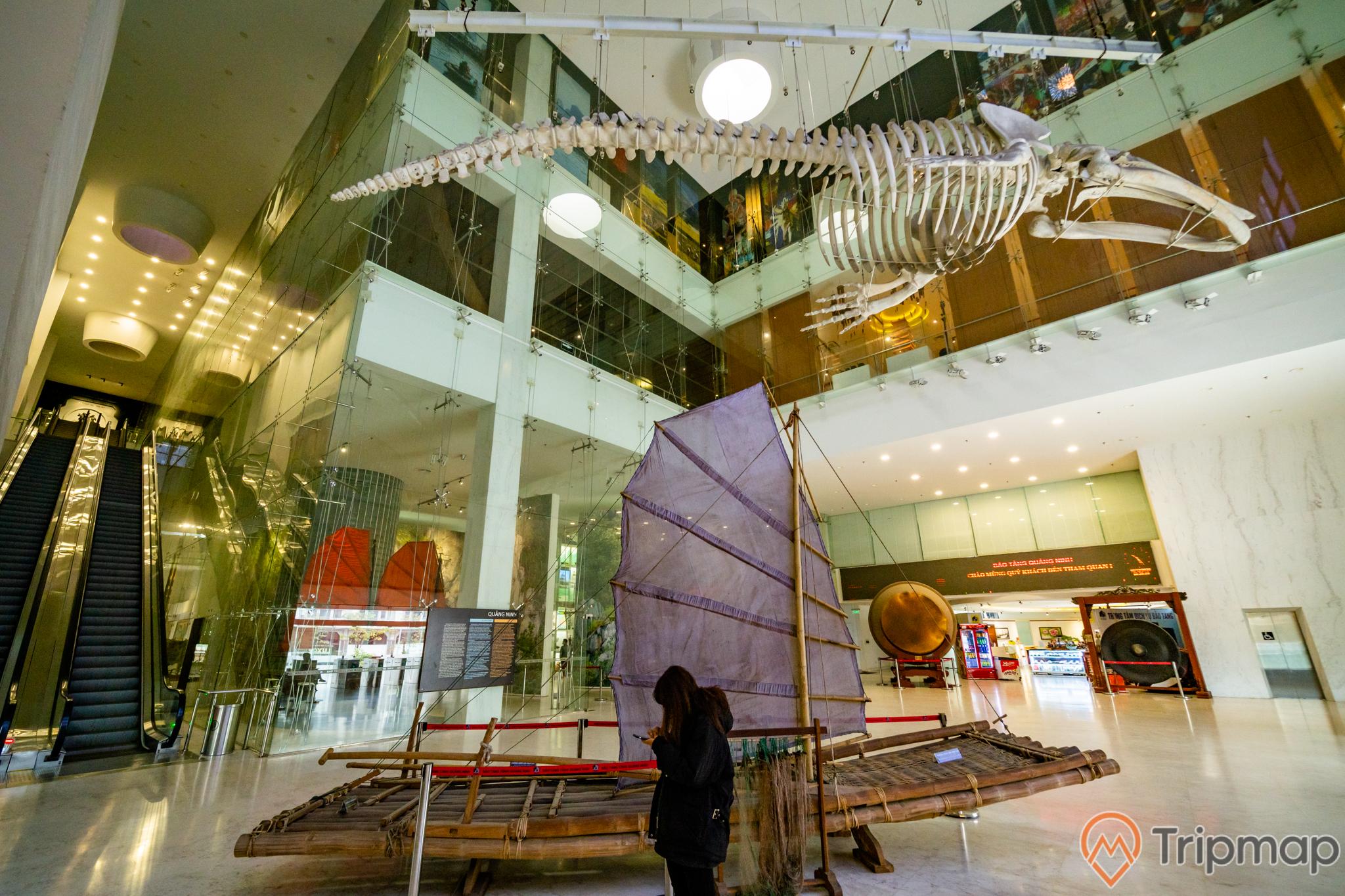 Bảo tàng Quảng Ninh, biển cả và tự nhiên, xương cá voi, mô hình thuyền buồm, thang máy, nền nhà bằng gạch màu nâu, nhà kính, ảnh chụp ban ngày