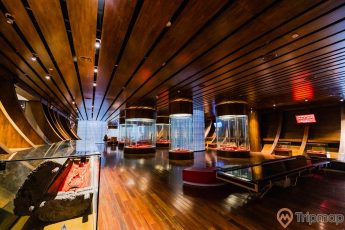 Bảo tàng Quảng Ninh, nơi lưu giữ những giá trị lịch sử, nhiều tủ kính trưng bày, nền nhà bằng gỗ màu nâu, trần nhà bằng gỗ màu nâu