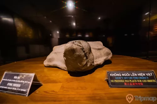 Bảo tàng Quảng Ninh, nơi lưu giữ những giá lịch sử, rùa đá đặt trên bàn bằng gỗ màu nâu, bảng giới thiệu màu đen