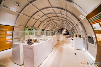 Bảo tàng Quảng Ninh, nơi lưu giữ những giá trị lịch sử, nhiều hiện vật trưng bày trong tủ kính trên bệ đá, nền nhà bằng gạch màu trắng