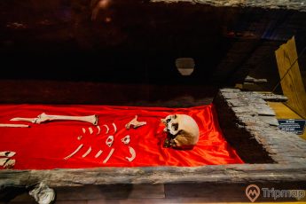 Bảo tàng Quảng Ninh, nơi lưu giữ những giá trị lịch sử, bộ xương người đặt trên tấm thảm màu đỏ