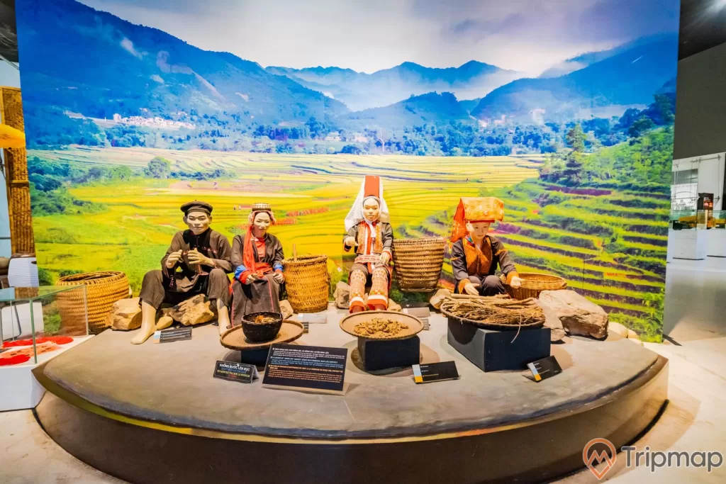 Khu tái hiện lịch sử hình thành mỏ than, bảo tàng Quảng Ninh, mô hình người dân tộc vùng núi, bảng giới thiệu màu đen, bức tranh hình ruộng bậc thang, nhiều loại cây vùng núi