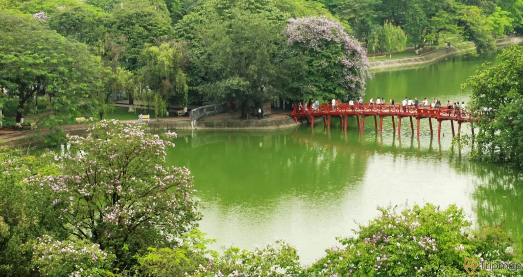 Cầu Thê Húc nối với đền Ngọc Sơn bao quanh cây cối um tùm