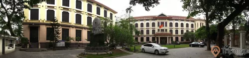 nhà bảo tàng mỹ thuật Việt Nam, cây côi xanh tươi, oto