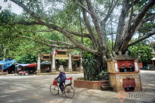 khung cảnh Tam quan hạ tại chùa Tây Phương, miếu dưới gốc cây xanh cổ thụ ở giữa khuôn viên, 1 người đội nón đi xe đạp chở đồ, quán nước có phông bạt che nắng bên cạnh cổng tam quan hạ