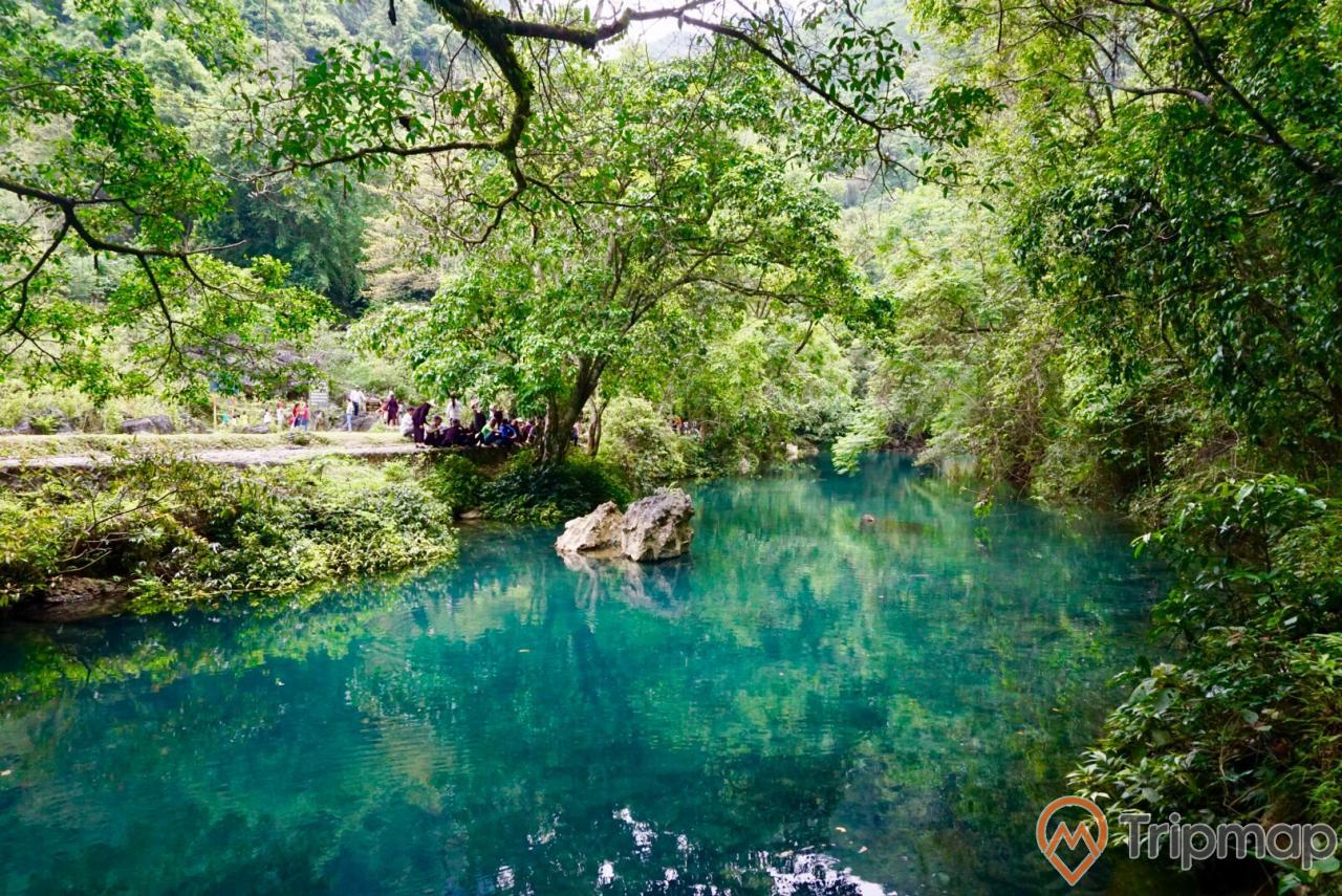 suối Lê Nin tại Di tích Pắc Bó, cây cối xanh tươi bên suối nước, phong cảnh pắc bó