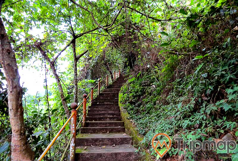 Lối đi vào động Hua Mạ, bậc thang đi bộ vào hang động, cây cối 2 bên lối đi, ảnh chụp trong rừng,