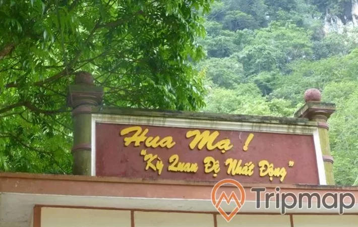 Tấm bình phong đề tên động "Hua Mạ", tán cây gần tấm bình phong và cây cối phía xa, ảnh chụp ngoài trời
