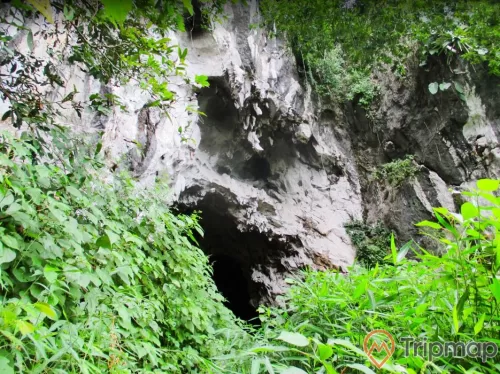 Quang cảnh bên ngoài hang động Pa Thơm, cây cối xanh tươi, ảnh chụp bên ngoài hang động