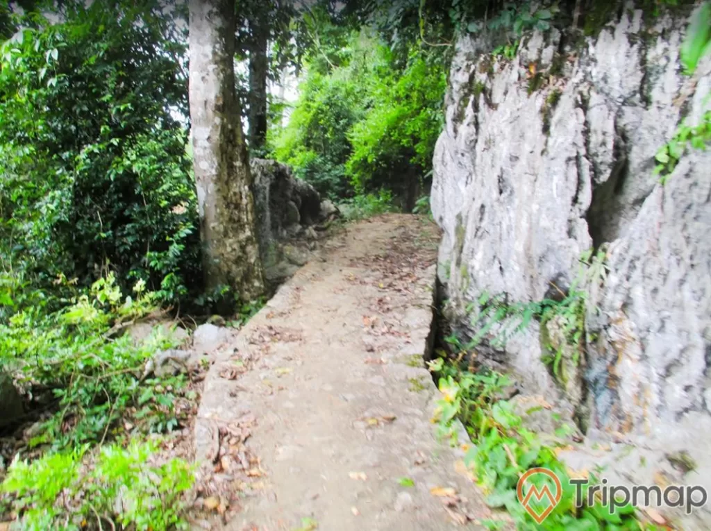 Đường đi tới hang động pa thơm, cây cối xanh tươi và vách núi đá, ảnh chụp ngoài trời