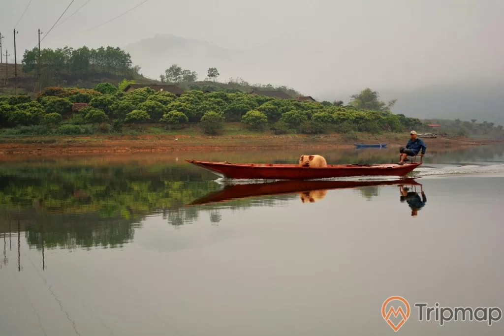 một người đàn ông chở con lợn trên chiếc thuyền màu đỏ trên hồ Cấm Sơn, cây cối trên đồi gần hồ nước, bầu trời sương mù ở phía xa,