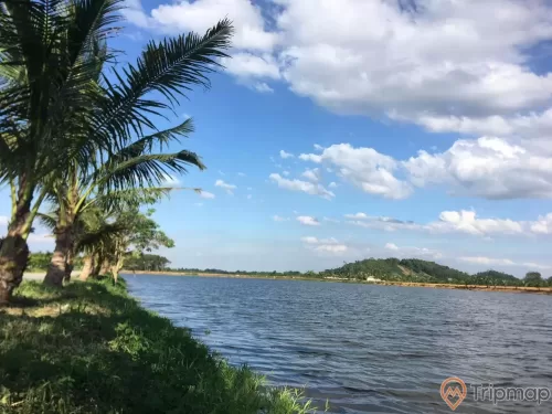 ảnh chụp bên bờ hồ 2 cây dừa và hàng cây dừa, núi đồi và bầu trời xanh có mây trắng tại khu du lịch suối khoáng Tản Đà