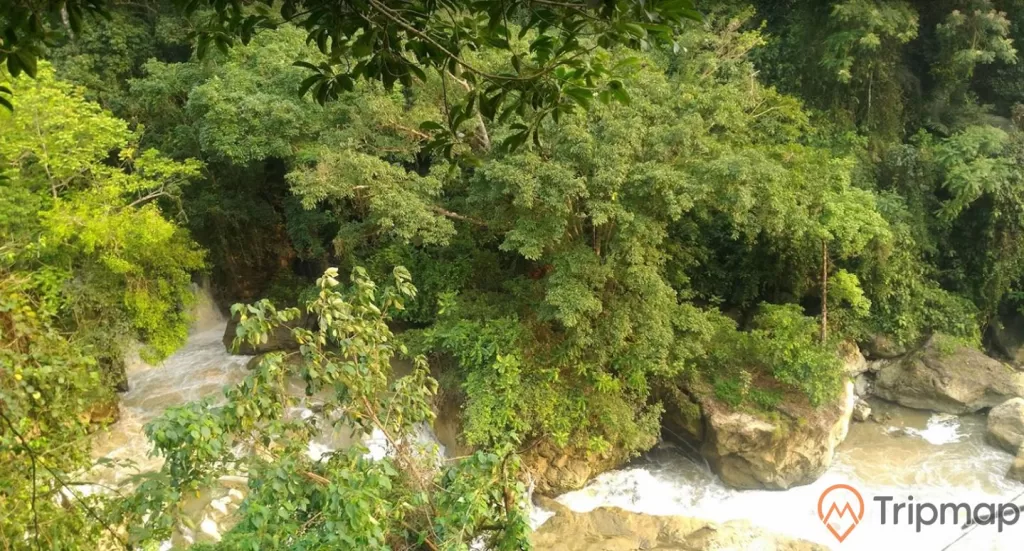 thiên nhiên tại thác đầu đẳng, dòng nước chảy xiết, cây cối xanh tươi gần dòng nước, ảnh chụp từ trên cao