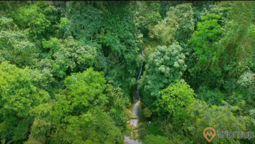 ảnh chụp toàn cảnh Thác Nà Khoang ở trên cao, cây cối xanh tươi xung quanh thác nước, ảnh chụp từ trên cao