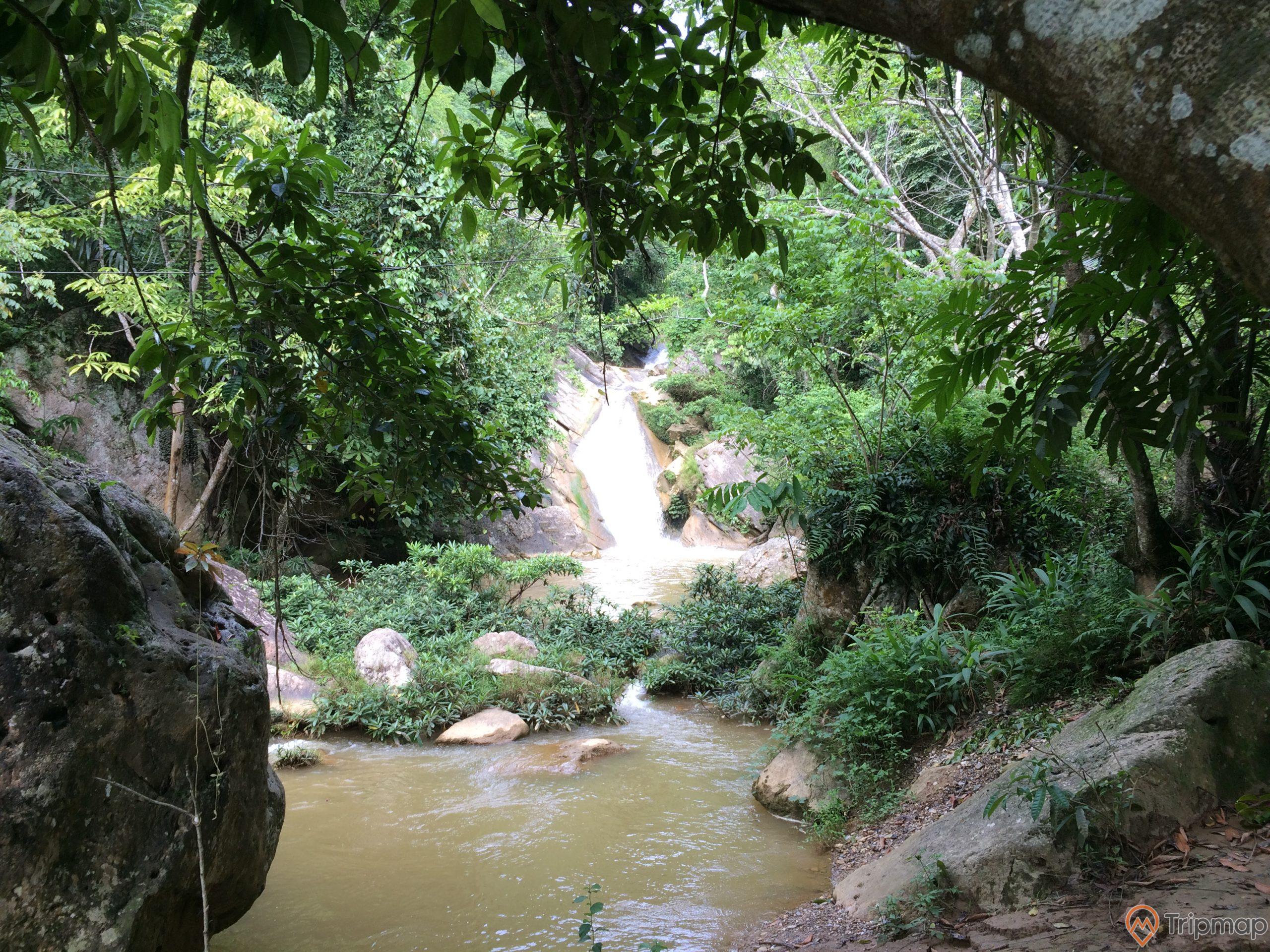 dòng nước chảy tại thác nà khoang, cây cối xanh tươi giữa khe đá và vách đá trên cao, Thác Nà Khoang, ảnh chụp ngoài trời