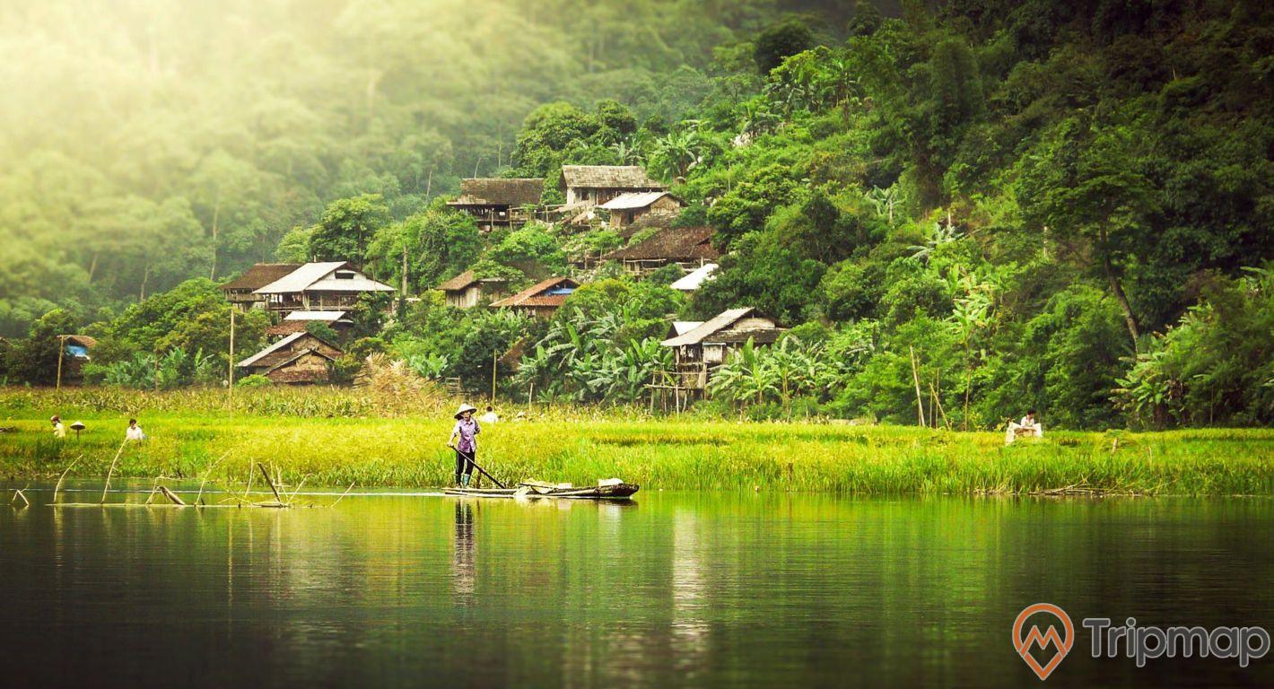 nhà dân sinh sống tại vườn quốc gia Ba Bể, 1 người phụ nữ đang đứng chèo thuyền trên hồ nước, nhà cửa dưới chân núi bao quanh là cây cối xanh tươi, ảnh chụp ngoài trời