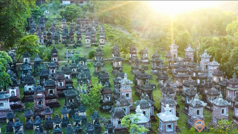 Vườn tháp Bổ Đà