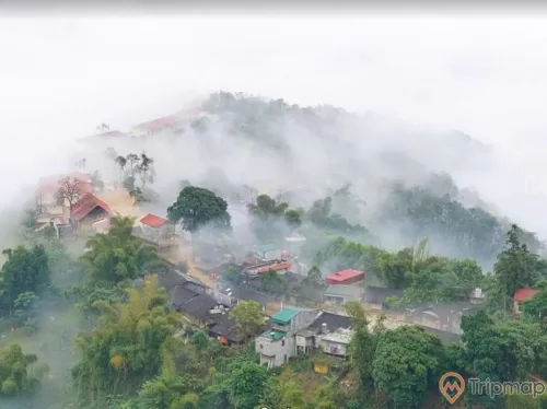 Màn sương khói mịt mù tại chợ tình khâu vai, cây cối và nhà cửa che phủ bởi sương mù, ảnh chụp từ trên cao