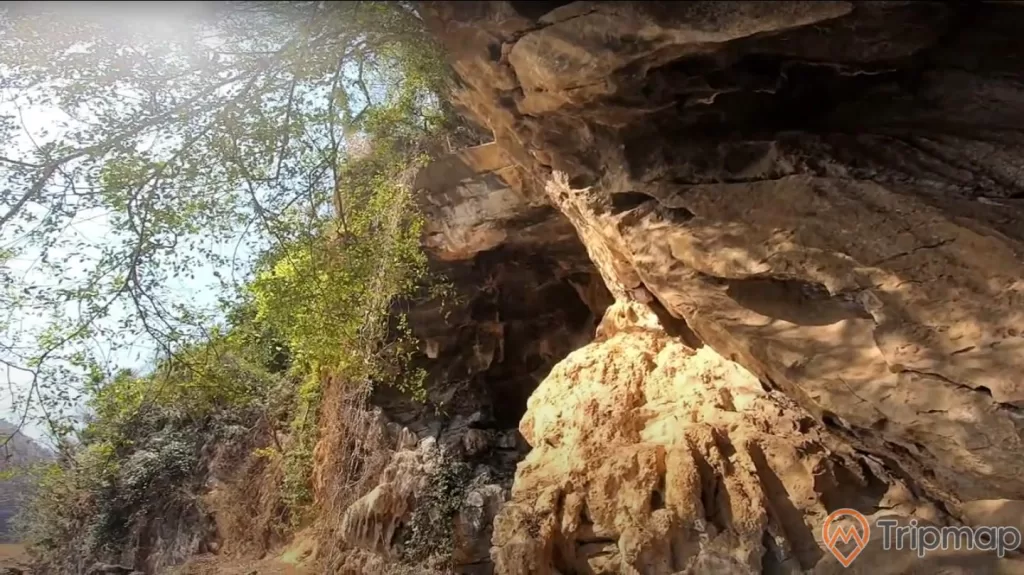 Vách đá ở của hang động Xá Nhè, cây cối mọc trên vách đá trên cửa hang động