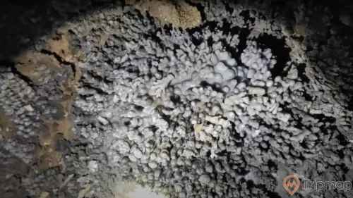 Măng đá trong hang Khố Mỷ, ảnh chụp trong hang động