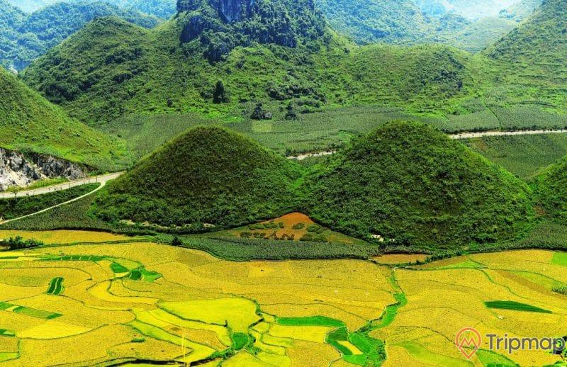 Thiên nhiên nơi thắng cảnh núi đôi Quản Bạ, núi đồi cây cối xanh tươi và ruộng bậc thang, ảnh chụp trên cao