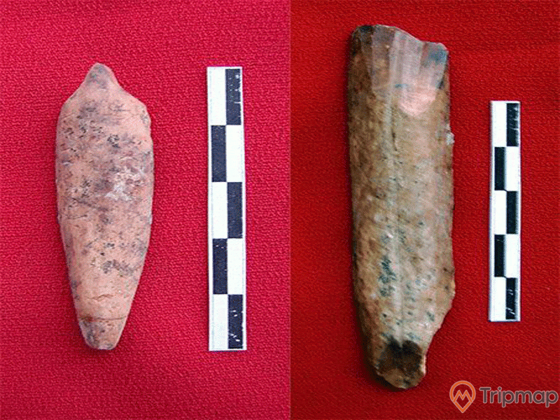 Dụng cụ bằng xương được tìm thấy trong hang Tiên Ông
