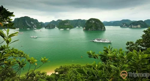 Đảo Ti Tốp, nhiều cây xanh, vịnh Hạ Long, thuyền màu trắng đang chạy trên biển, nhiều ngọn núi đá phía xa, mặt nước biển màu xanh, ảnh chụp ban ngày