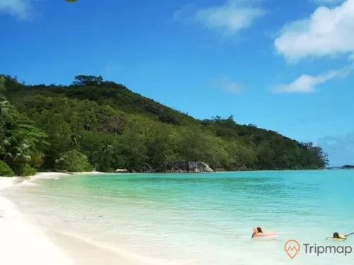 Đảo Titop thuộc vịnh Hạ Long là một khu sinh thái với phong cảnh hữu tình