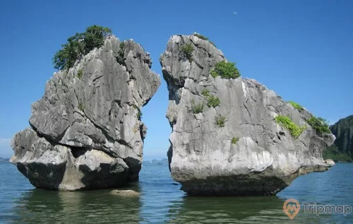 Hòn Trống Mái, vịnh Hạ Long, tảng đá to màu xám có cây xanh, ảnh chụp ban ngày