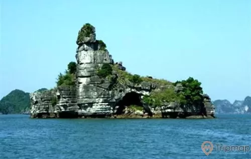 Hòn Xếp, vịnh Hạ Long, tảng đá to màu xám có nhiều cây xanh, mặt nước biển màu xanh, ảnh chụp ban ngày