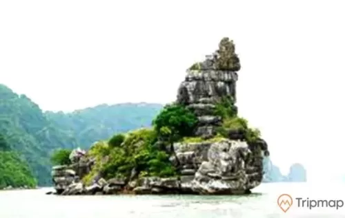 Hòn Xếp, vịnh Hạ Long, tảng đá màu xám có cây xanh, ngọn núi ở phía xa, ảnh chụp ban ngày