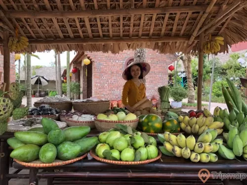 Quảng Ninh Gate, khu chợ quê, nhiều loại hoa quả, người phụ nữ mặc áo vàng đang cười, ngôi nhà bằng gạch màu đỏ phía sau, ảnh chụp ban ngày