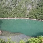 Khu sinh thái tùng – áng Cống Đỏ