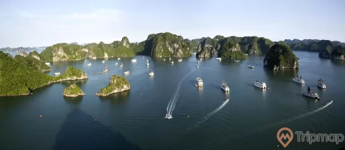 Nhiều tàu du lịch đến tham quan khu sinh thái, Vinh Hạ Long