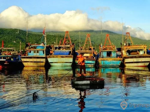 Hoạt động bắt cá các du khách có thể trải nghiệm ở làng chài Ba Hang