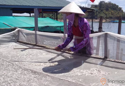 Người dân làng chài Ba Hang sơ chế hải sản khô